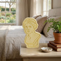 Venus Clay Diffuser & Fragrance Oil